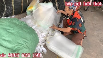 túi lưới thái bọc mít,túi vải,bọc bưởi, bọc na,vú sữa hoàng kim,đặc biệt chống sâu bệnh,chống nắng.