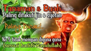 Download Lagu wajib Punya! 5 tanaman \u0026 buah yang ditakuti jin dan setan MP3
