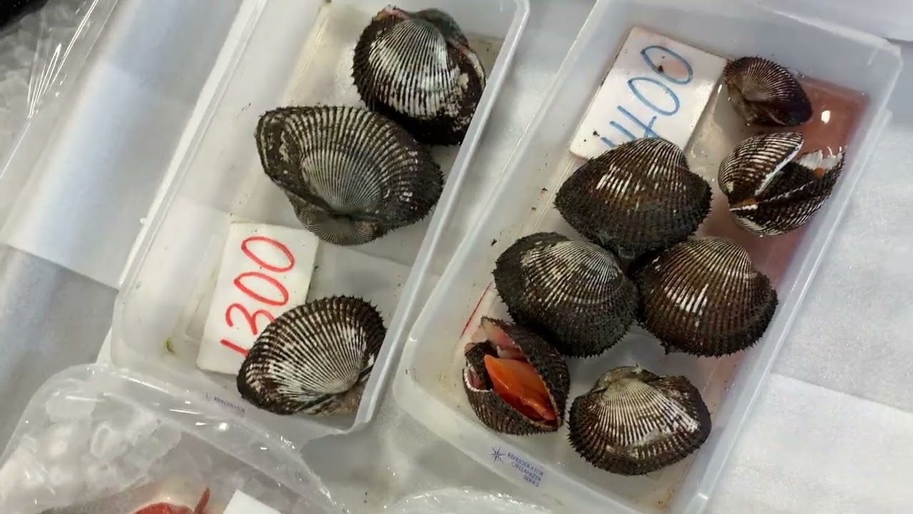 道の駅笠岡ベイファーム鮮魚コーナー3／４