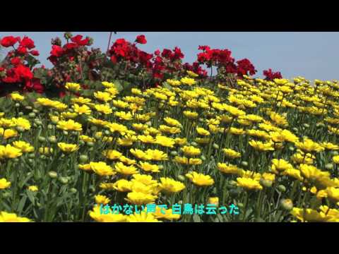 花の首飾り　加橋 かつみ
