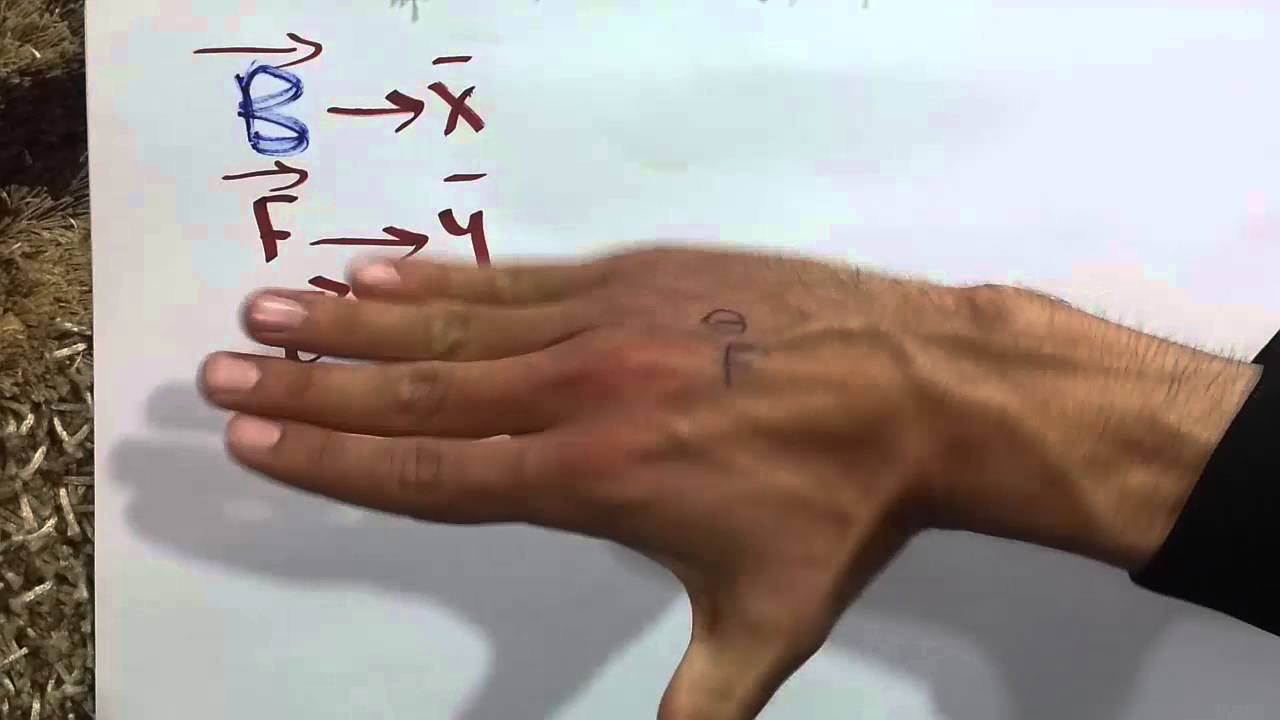 یاسای دەستی ڕاست - Yasay dasti rast