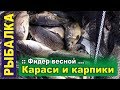 Фидер весной: караси и карпики. Рабочая наживка.