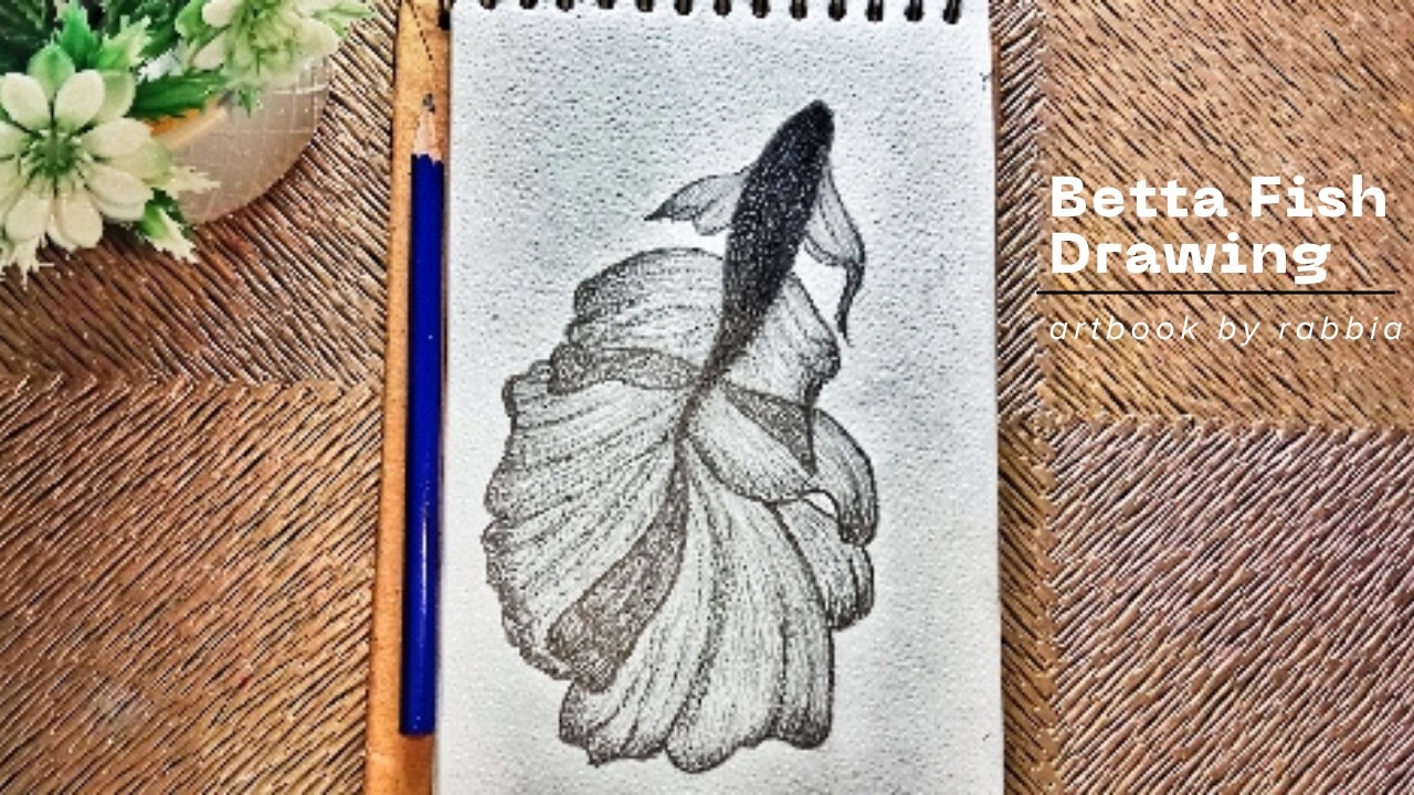 How to Draw a Realistic Betta Fish Step by Step | Pencil Drawing ...