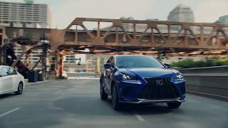 Ray Catena Auto Group