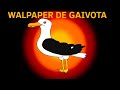 Walpaper de gaivota (como pediram :) l) 