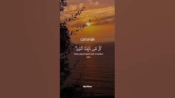 قرآن كريم 😍 #follow #المصحف #foryou #viral #اكسبلور #الرحمن #قرآن