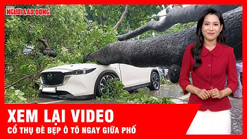 Cận cảnh cây xà cừ lớn bật gốc đè bẹp xe ô tô đang chạy trên đường phố Hà Nội | Tin tức