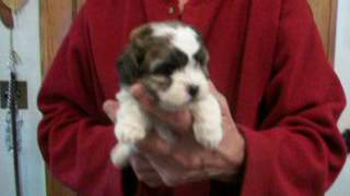 delilah07252016m1m2m3f4 on 8 21 2016