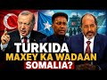 Exclusive Gudoomiye Shuuriye Somalia Iyo Awoodda Cusub Ee Turkiga 