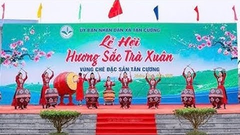 Lễ Hội Hương sắc trà xuân 2024 vùng Chè đặc sản Tân Cương  VTC14