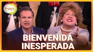 ¿Extrañaron a Alan Tacher? Doña Meche hizo de las suyas en su ausencia | Despierta América