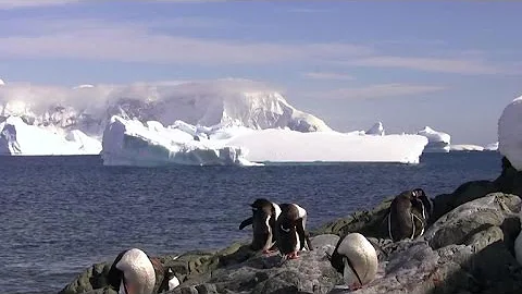 Antarctic ice shelf at risk of collapse within 100 years