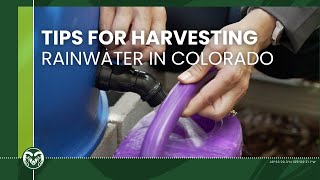 Two Simple Methods for Harvesting Rainwater in Colorado