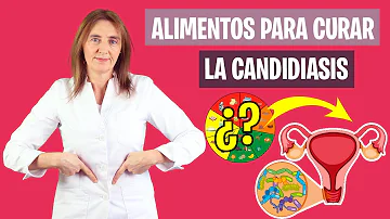 ¿Qué alimentos curan la cándida?