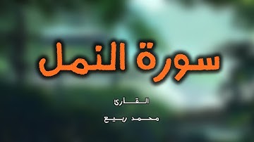 سورة النمل .. تلاوة هادئة تريح القلب والعقل تأخذك لعالم اخر .🥹♥️ | . القارئ محمد ربيع