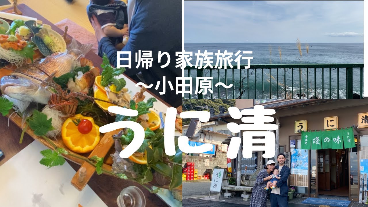 【vlog】 うに清  真鶴 海鮮  舟盛り 日帰り グルメ家族旅行  赤ちゃん連れ 小田原