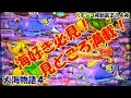 【大海物語４】実践パチンコ夜勤　第２１４夜 　～海好き必見！見どころ満載！～
