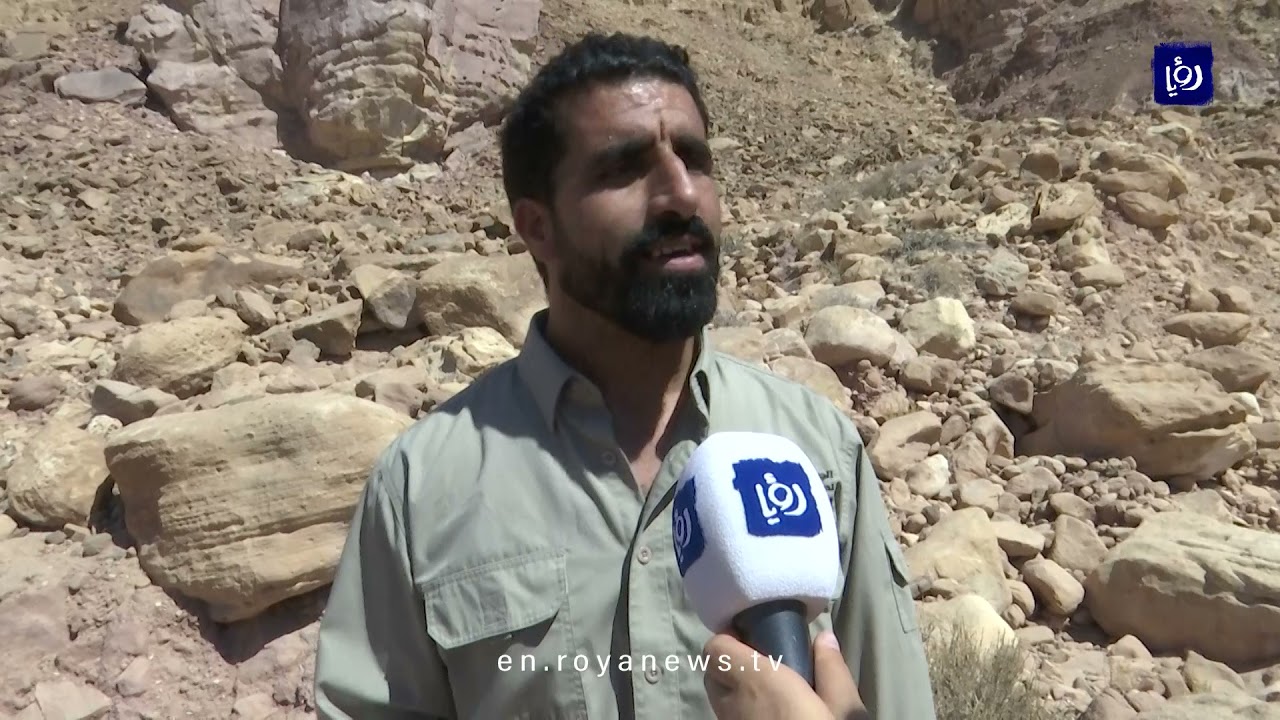 What's going on at Jordan's Dana Reserve?