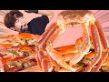 MUKBANG ASMRㅣVery Delicious! Raw King Snow Crab VS Crab Steamed Eat🦀Korean Seafood Hoony Eatingsound