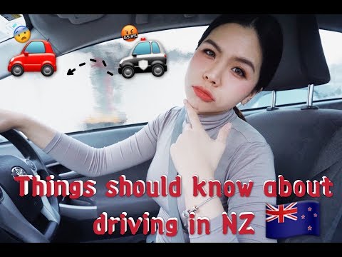 วีดีโอ: Motor Mutts เรียนรู้การขับรถในนิวซีแลนด์