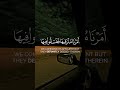 #الاسلام #quran #islam #القرآن_الكريم #shorts#viral