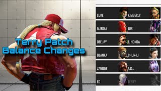 Celebrity SF6: Terry Update Balance Changes Net Worth