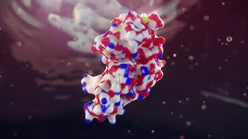 HitGen DEL Introduction