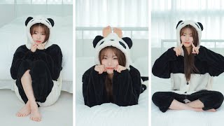 아기 판다 새하의 귀여운 겨울잠 준비