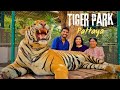 Thailand tiger park  pattaya  explore now  thailand  travel