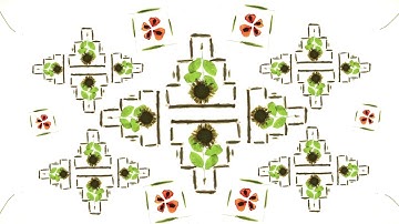 Animation by TUMO Yerevan Students