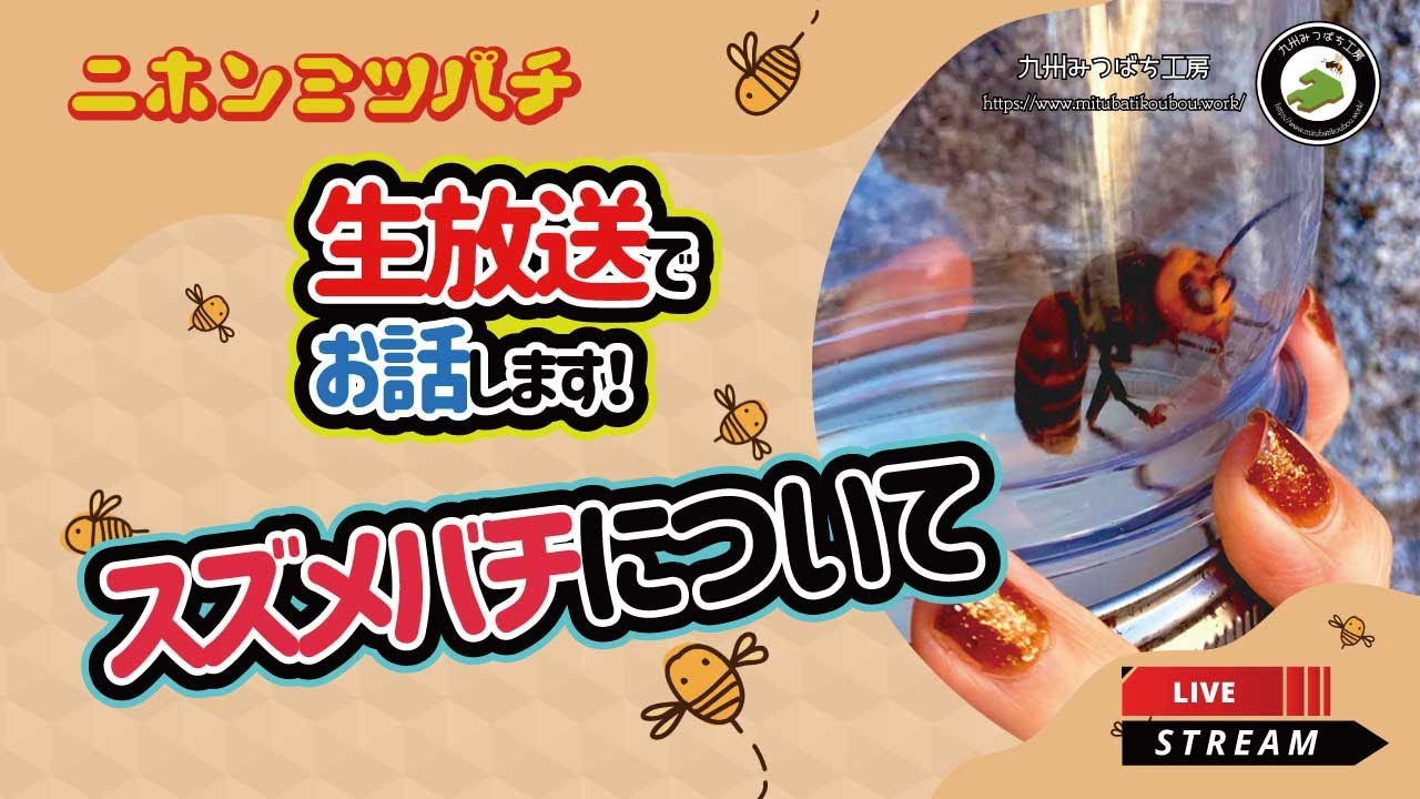 スズメバチについて語ろう！【ライブ配信】「九州みつばち工房 」日本