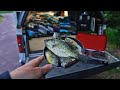 Crappie/Panfish Catch, Camp, Cook in My Truck