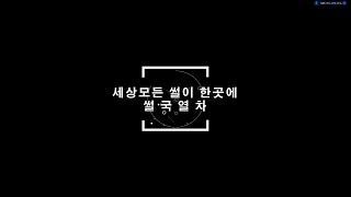 자잘한 실제 경험담 자잘한 실제 경험담