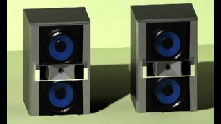 SpeakerTestRender.avi