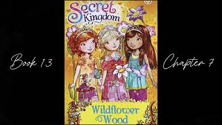 A reading of Secret Kingdom, book 13, chapter 7