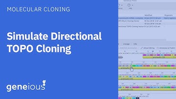 Directional TOPO Cloning with Geneious Prime