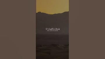 محمد ايوب - سورة الانبياء | فنادى في الظلمات ان لا اله الا انت سبحانك #تلاوة #قران #اكسبلور #آيات