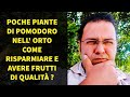 Poche piante di Pomodoro come Risparmiare e avere Qualità