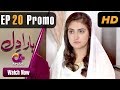 Watch Haara Dil - Episode 20 Promo | Aplus Dramas | Danish Taimoor, Hiba Bukhari | Pakistani Drama Online In HD