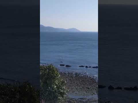 海が好き（ Vol.50 ）／「天草」四季咲岬