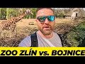 Zoo zln vs bojnice okujce rozdiely