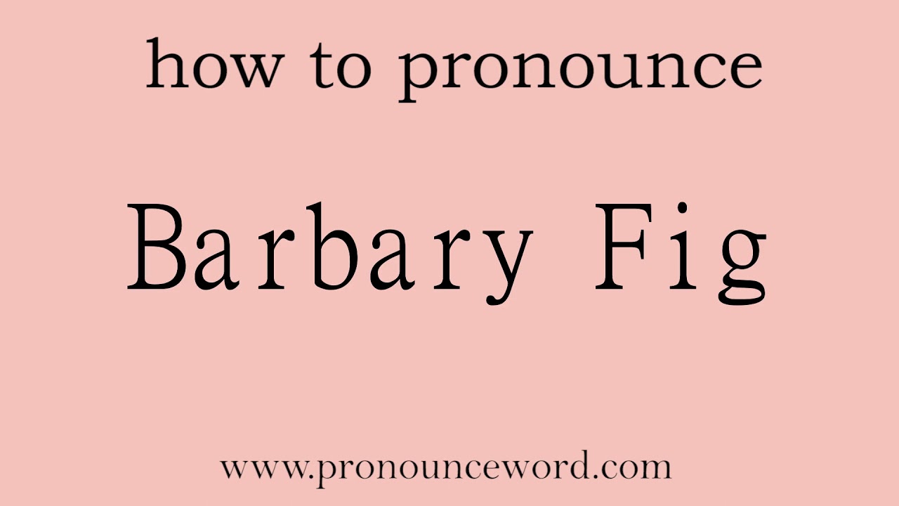 Barbary Fig: How to pronounce Barbary Fig in english (correct!).Start with B. Learn from me.