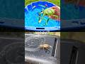 Bug Insect Names for Kids to Learn with Toys: Weevil Scorpion Earthworm Grasshopper Spider