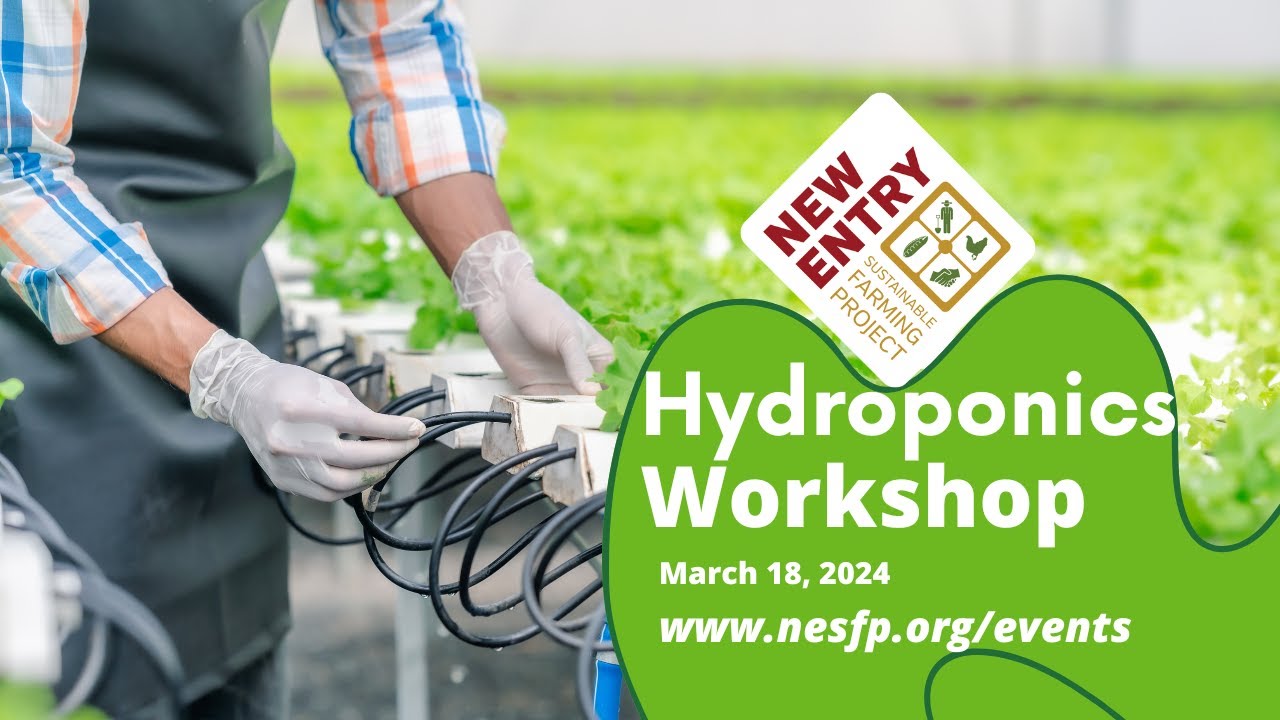 Hydroponics Farming Workshop
