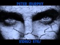 PETER MURPHY Indigo Eyes mp3