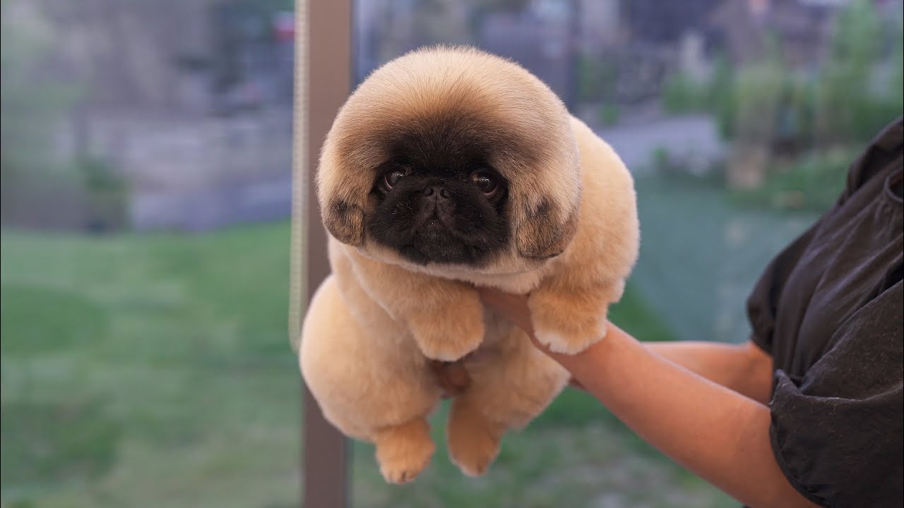 Кто меня хочет?