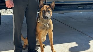 New Mexico State Police mourns the loss of K-9 officer