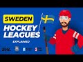 Sweden hockey leagues explained from shl to the lower divisions