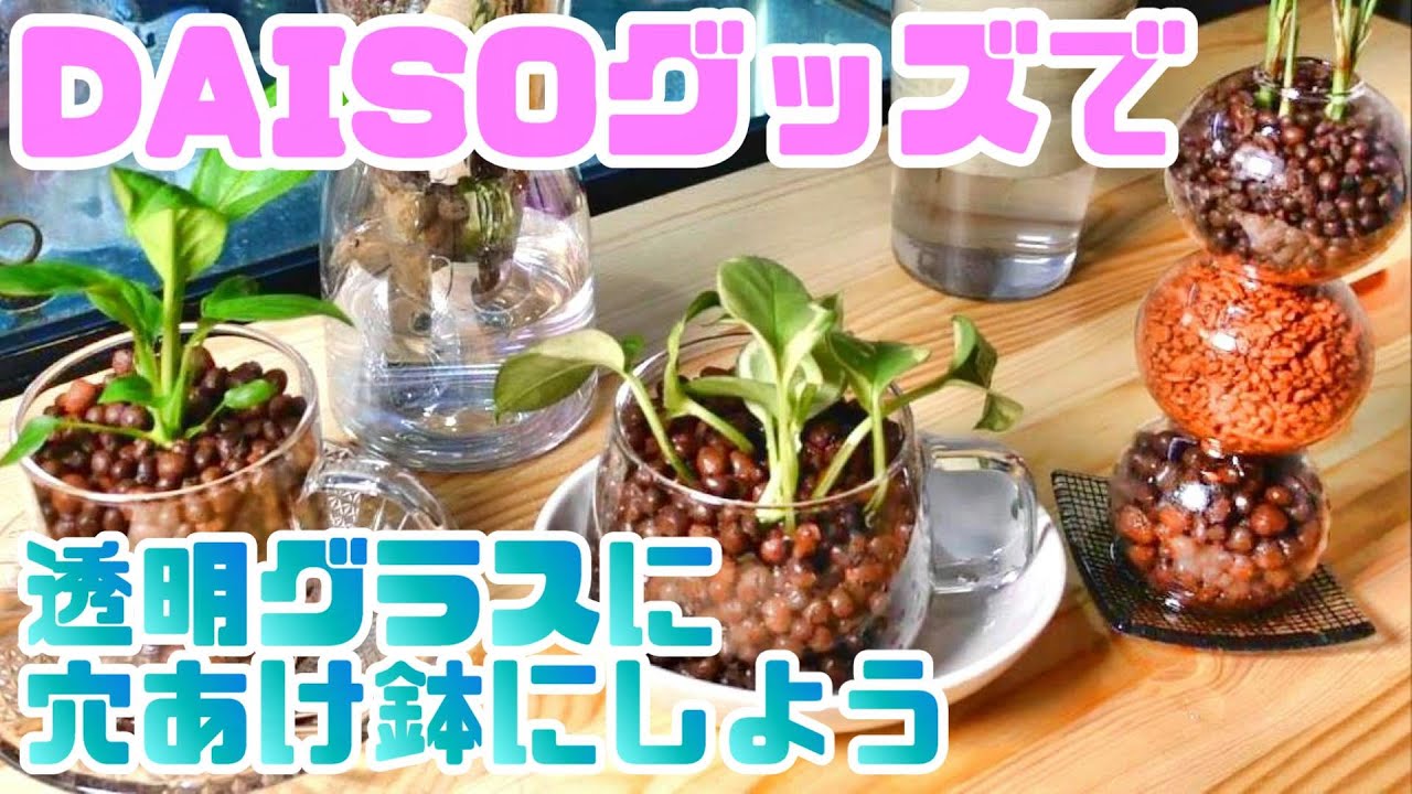 【知って得する100均DIY】お気に入りのグラスに穴あけ加工しよう！！/Use your favorite glass for hydroponics！！