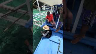 Shorts. Feeding fish @ the Skeleton ship wreck, Coron, Palawan, Phils.